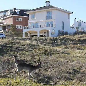 https://dune-apartment.zandvoort-hotels.com